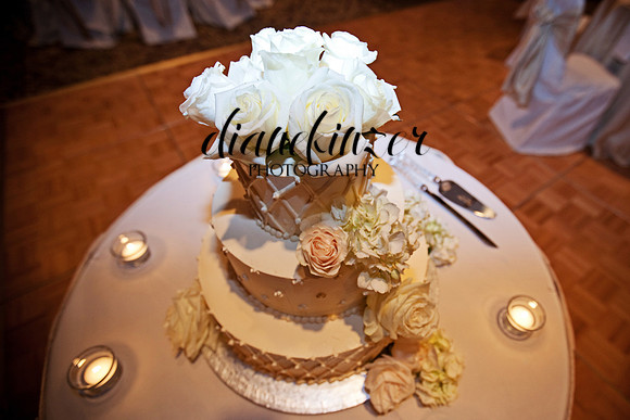 Jerry & Lisa Reception