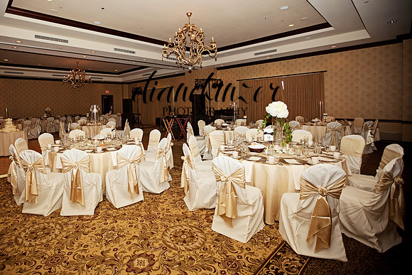 Jerry & Lisa Reception